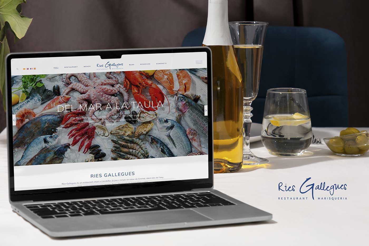 Pàgina web Ries Gallegues