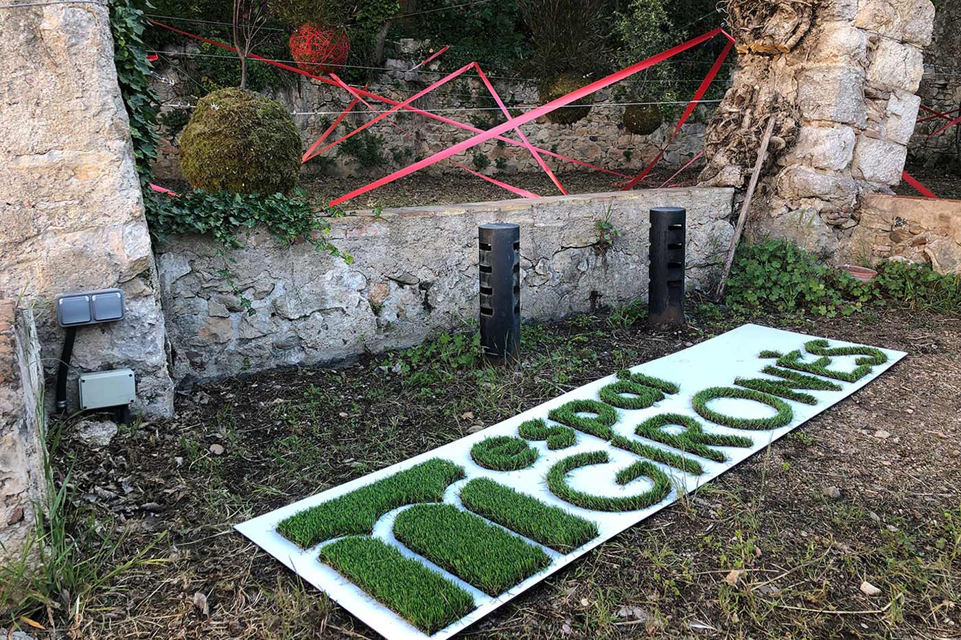 Temps de Desitjos - Espai Gironès logo amb gespa