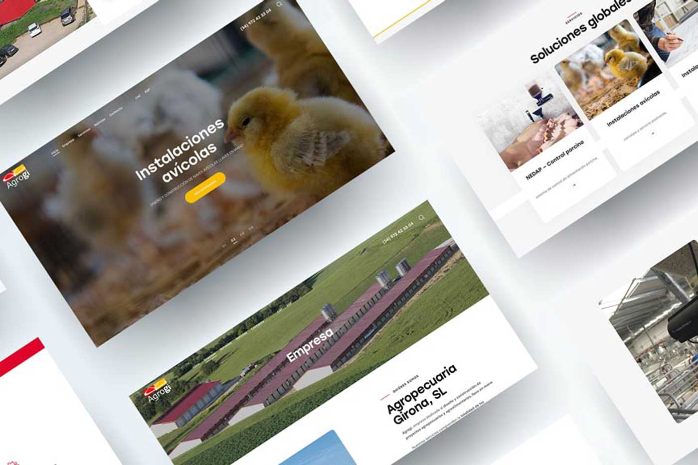 Disseny pàgina web Agrogi