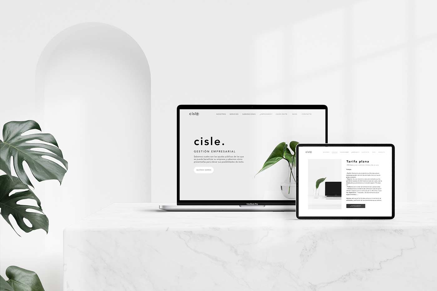 Disseny web per a Cisle