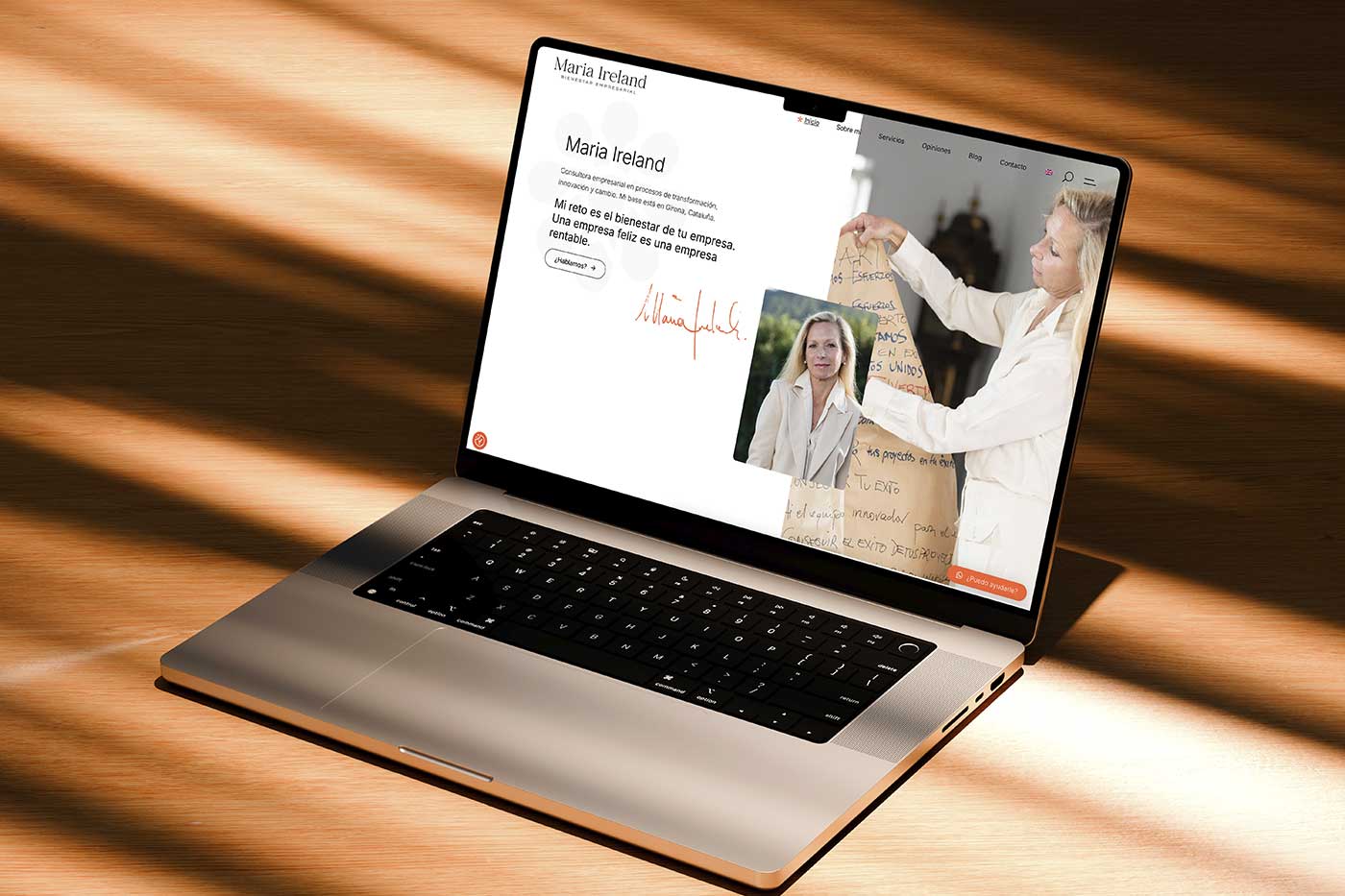 Disseny de la pàgina web de Maria Ireland