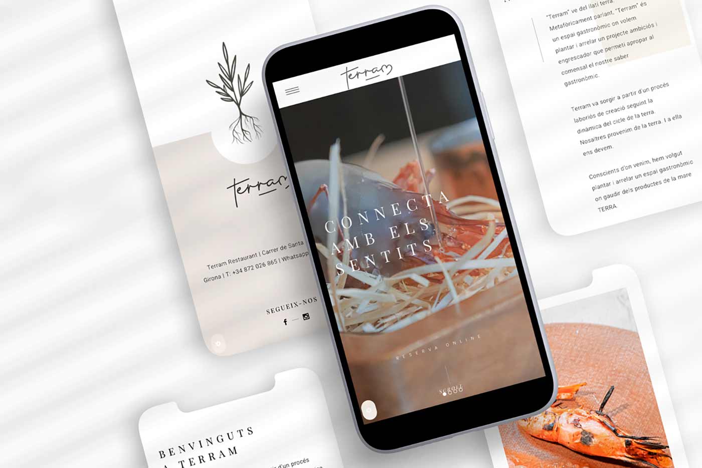 Terram Restaurant web versió mòbil